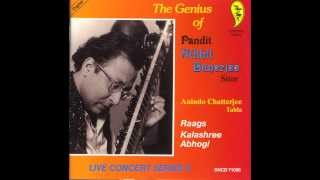 Pandit Nikhil Banerjee [upl. by Ecinrahs]