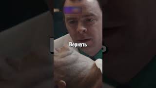 Что Случилось с Мозгом Эйнштейна После Его Смерти😳 shorts [upl. by Avevoneg]