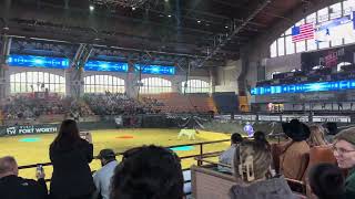 a day at fort worth stockyards  ultimate bullfighters  texas USA [upl. by Bautista]