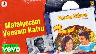 Paadu Nilave  Malaiyoram Veesum Katru Lyric  Mohan Nadhiya  Ilaiyaraaja [upl. by Wright]