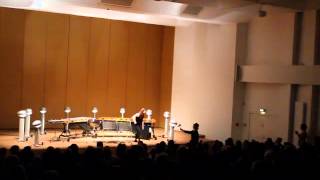 Steve Reich  New York Counterpoint live footage Köln Germany [upl. by Narah612]