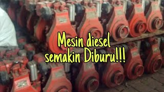 Mesin Diesel RUGGERINI semakin diburu [upl. by Ladew]