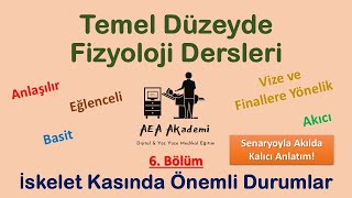 Temel Fizyoloji Dersleri Kas Fizyolojisi  Optimal Uzunluk Tetani Yorgunluk Kasılma Tipleri [upl. by Buxton376]