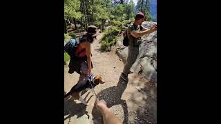 Tunnel Mountain Trail summer hiking in Banff Calgary alberta calgary canada hike [upl. by Buffo426]