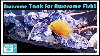 Setting Up a 125 Gallon Aquarium for Geophagus winemilleri and Severums [upl. by Marolda]