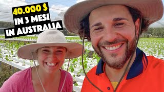 Come fare 40000 DOLLARI in 3 mesi in Australia 🇦🇺💰 [upl. by Devlin]