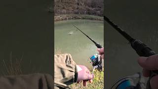 Dieser GUMMI bringt Fisch 🐟 Troutpasta V20 🎣 Naturefish Usingen 🏕 angeln ultralightfishing [upl. by Acisey]