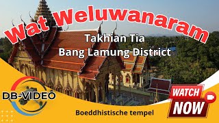 4K 🇹🇭 Wat Weluwanaram Takhian Tia  Boeddhistische tempel  2024 [upl. by Aneeled940]