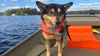 Big Pond Otis Mass Beautiful fall boat ride [upl. by Aicilif941]