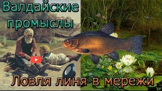 Ловля линя в мережи Tench Fishing in trammel [upl. by Bust]