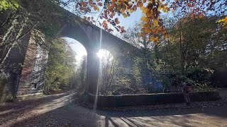 Brampton Gelt Woods and Talkin Tarn in AutumnFall with Interesting Walks NE 76 miles [upl. by Wyck305]