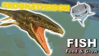 PROGNATHODON VS MEGALODON  Feed amp Grow Fish  Andrew The Shark [upl. by Namsu]