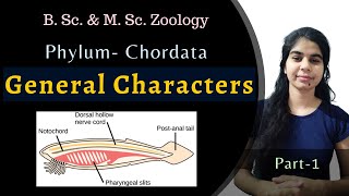 Phylum Chordata  General Characters of Chordata  B Sc amp M Sc  Zoology [upl. by Inasah94]