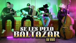 Hermanos Figueroa  Se Les Pelo Baltazar En Vivo 2024 [upl. by Tubb]