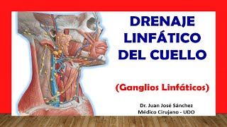 🥇 GANGLIOS LINFÁTICOS DEL CUELLO Drenaje Linfático Fácil Rápido y Sencillo [upl. by Noved]