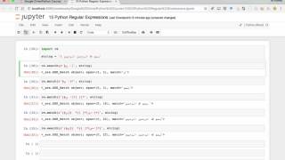 15 Python Regular Expressions [upl. by Oilenroc]