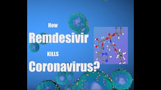 COVID19 and Remdesivir animation How Coronavirus replicates and How Remdesivir works [upl. by Coheman]