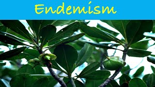 Endemism  Causes of Endemism  Endemic Species  Ecology science biology ecology csirnet [upl. by Wickman]