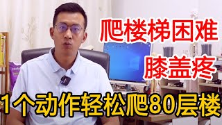 上下楼梯膝盖疼？教你一个方法，膝盖舒服腿更有力【人体百科David伟】 [upl. by Seroled220]