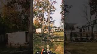 Tree Removal and Trimming treetrimming treeremovalnearme landscapecontractor [upl. by Tali60]