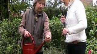 Watering Can from Haws [upl. by Rector]