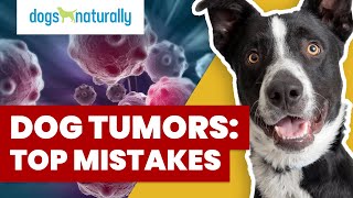 How To Tell If Your Dogs Lump Is Cancer [upl. by Neelloc471]