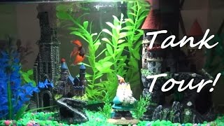 My Betta Dracos Hogwarts Harry Potter Theme Tank Tour [upl. by Ewer]