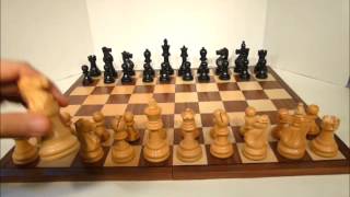 Capablanca Gothic Seirawan Carrera amp Bird Chess with Knighted Bishop amp Rook [upl. by Annahavas]