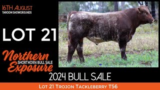 Lot 21 Trojon Tackleberry T56 [upl. by Raquel349]