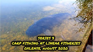 Series 3  Carp Fishing at Linear Fisheries  Oxlease August [upl. by Gustin783]