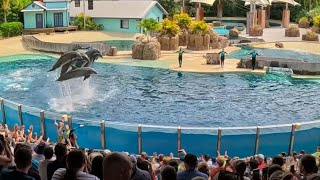 2024  Full Dolphins Adventure Show at SeaWorld Orlando FL SeaWorld 60 Anniversary [upl. by Oalsecnew462]