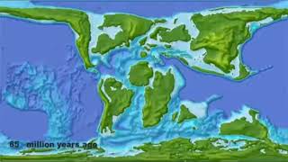 From Pangea to Today  Continental Drift [upl. by Teodoro699]