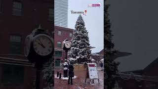 Winters in Toronto🏙️❄️ youtube travel wintertour christmas [upl. by Yleek]