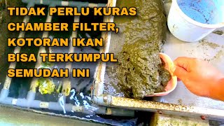 SISTEM PENYARINGAN KOTORAN IKAN DENGAN METODE SIEVE FILTER PADA BUDIDAYA IKAN NILA SISTEM RAS [upl. by Roderica]