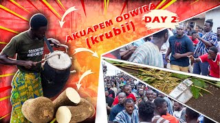 Akuapem Odwira Festival 2024 Day 2  Outdooring the New Yam krubii [upl. by Arnelle]