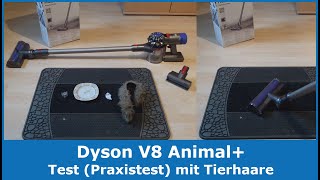 Dyson V8 Animal beutelloser Akkustaubsauger  Tierhaare entfernen Praxistest Test [upl. by Ttayh]