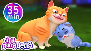 Meow Meow Billi Karti  12 more Hindi Rhymes  Nursery Rhymes Hindi  Ding Dong Bells [upl. by Noerb]