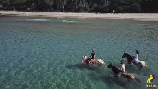 Cala Violina a cavallo in spiaggia al galoppo in Maremma in Toscana [upl. by Nie623]