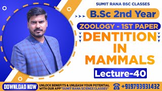 Lt40 Dentition In Mammals  Unit  4 Zoology 1st Paper  BSc 2nd Year [upl. by Phare]