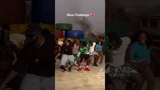 Mr drew x incredible zigi new challenge dance trending viralvideo [upl. by Gyatt]