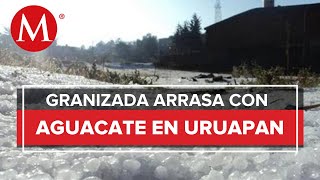 Granizo afecta más de 2 mil hectáreas de aguacate en Michoacán [upl. by Dnana842]