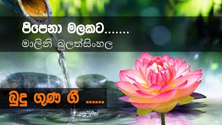 Pipena Malakata පිපෙනා මලකට Malini Bulathsinghala  Budu Guna Gee බුදුගුණ ගී [upl. by Mccallum]