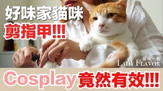 貓咪剪指甲！小撇步大成功！【好味貓日常微知識】EP3 [upl. by Okomom]