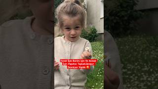 Papatya Çiçeği Topladı 😍shortsvideo kinder kindervideo çocukvideoları vira ezy çocuklarwach [upl. by Goldfinch]