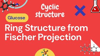 How to draw ring structure of glucose  Cyclic Structure from open chain  Biochemistry [upl. by Aerdnahc686]