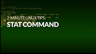 How to use the stat command [upl. by Aiva769]