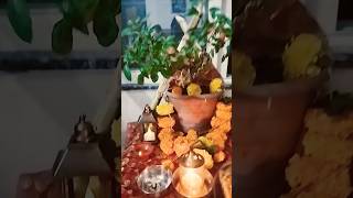 Meri tulshi ke gamle mein Om likha hai🌺🙏viralvideoshortsviralytshortsviralshortshortsviral [upl. by Adnoloy]