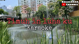 Timuh In Luha Ku  KARAOKE [upl. by Emor475]