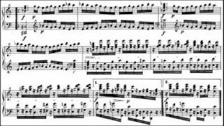 Beethoven  Diabelli Variations Op 120 Grigory Sokolov [upl. by Oynotna]