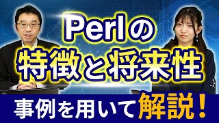 【徹底解説】Perlの特徴と将来性について [upl. by Swigart763]